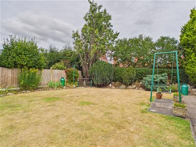 Picture 19